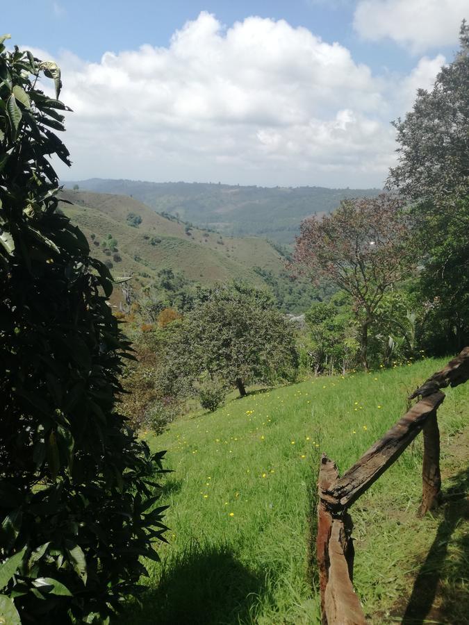 Ecorefugio Las Mirlas Salento Eksteriør billede