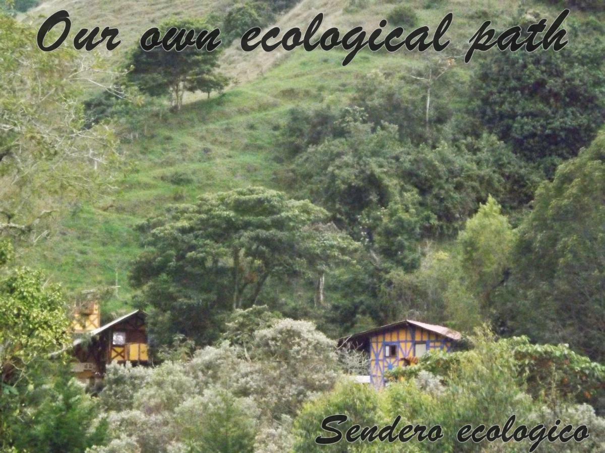 Ecorefugio Las Mirlas Salento Eksteriør billede